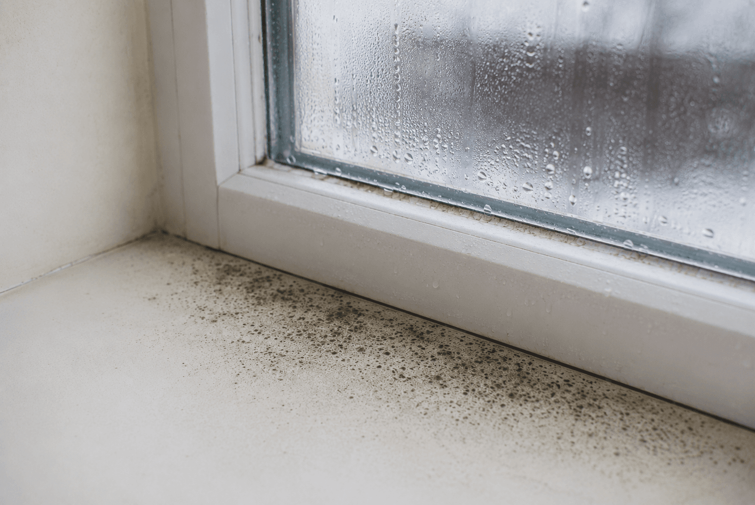 Side-by-side illustration comparing mildew and mold growth