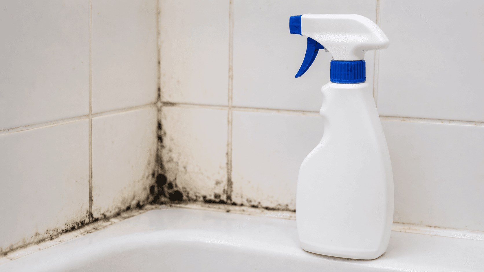 Illustration of Lysol product being used to disinfect a bathroom surface