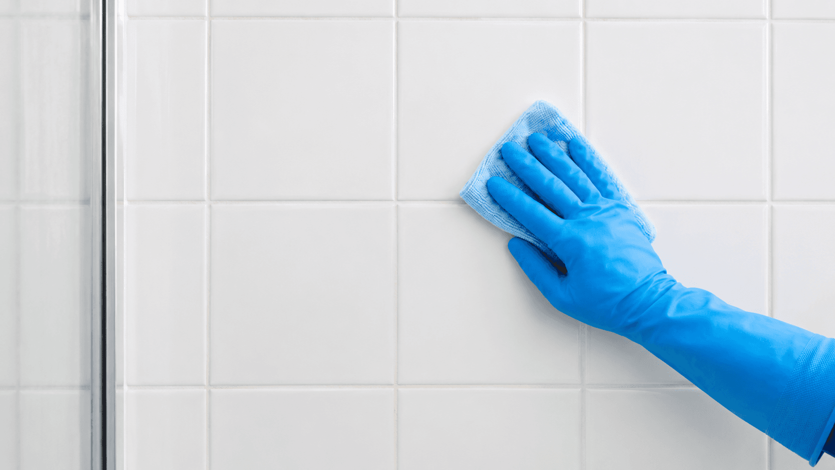 Illustrated guide to getting rid of mold at home