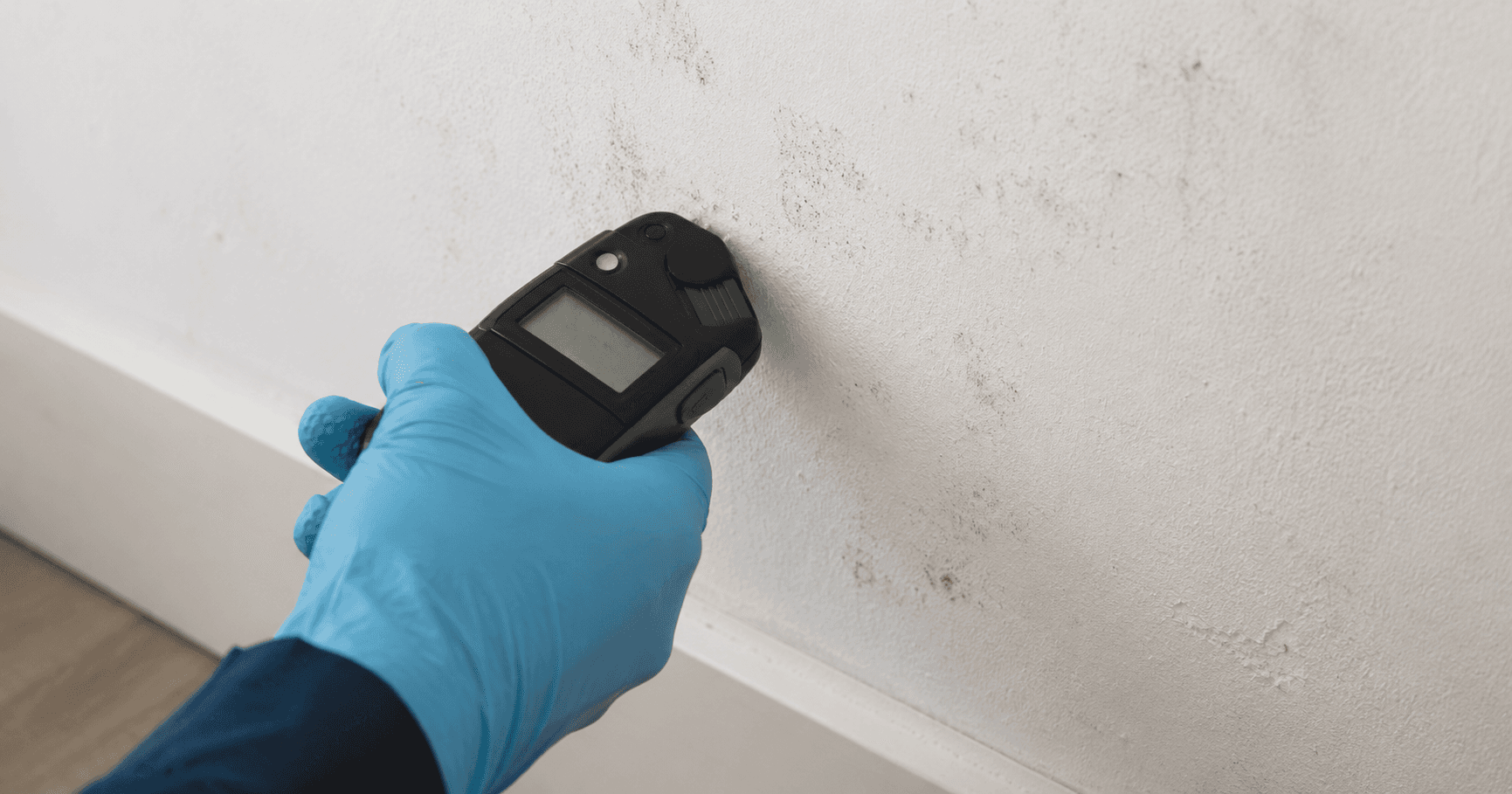 Illustration of a handheld moisture meter and indoor air-quality monitor